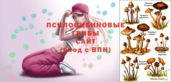 мет Володарск