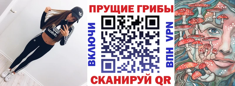 Купить где  Первоуральск  Псилоцибиновые грибы прущие грибы 