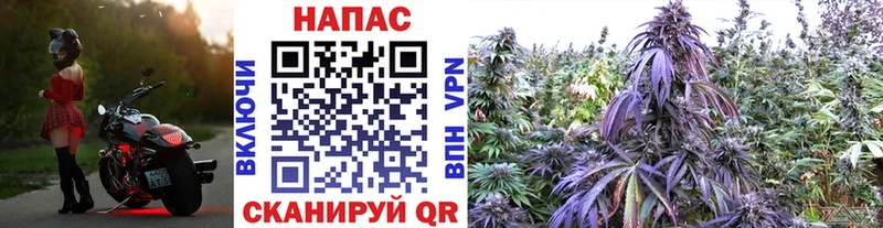 Бошки Шишки Amnesia Первоуральск